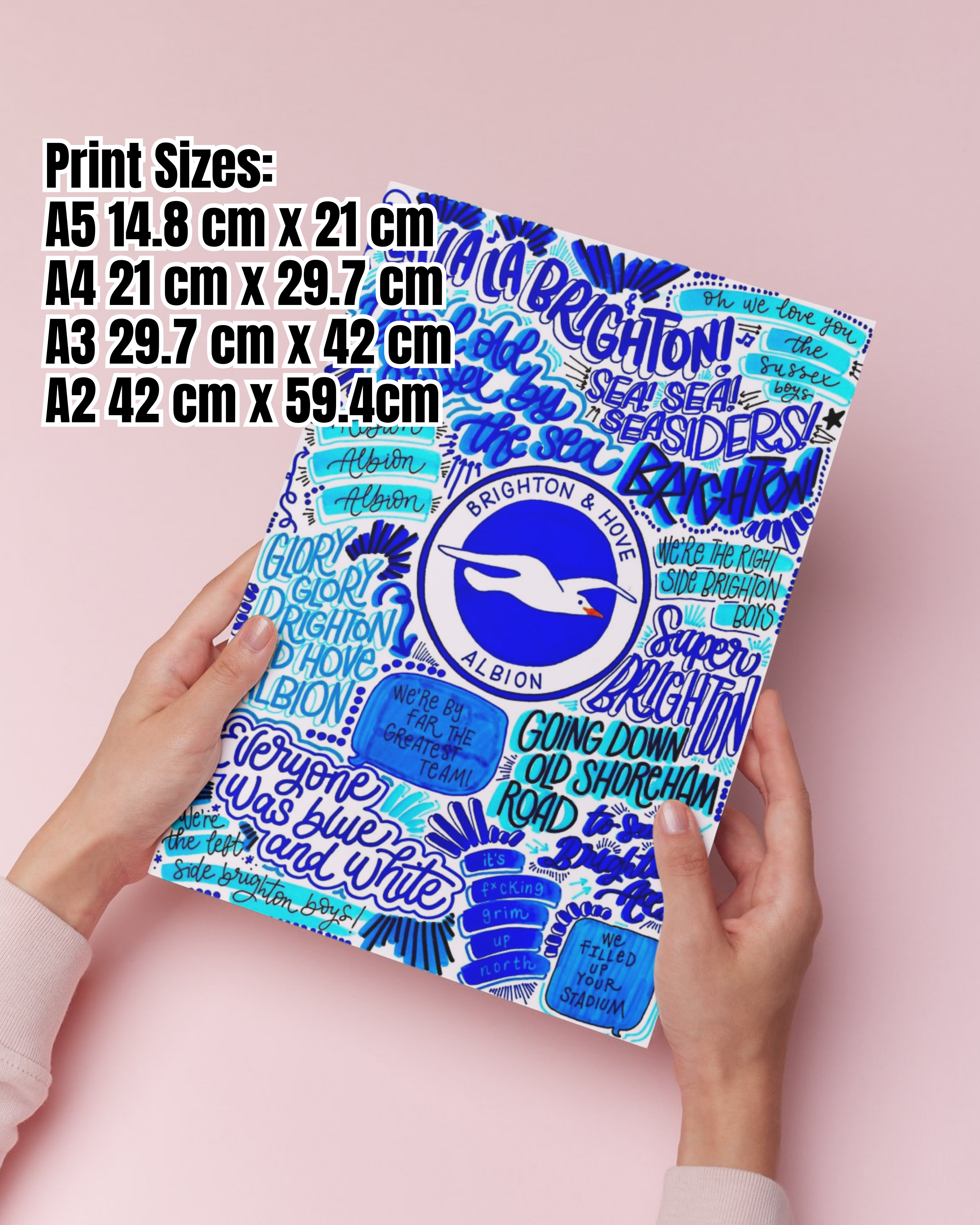 Brighton & Hove Albion  - Glossy Print - Originally Hand Drawn
