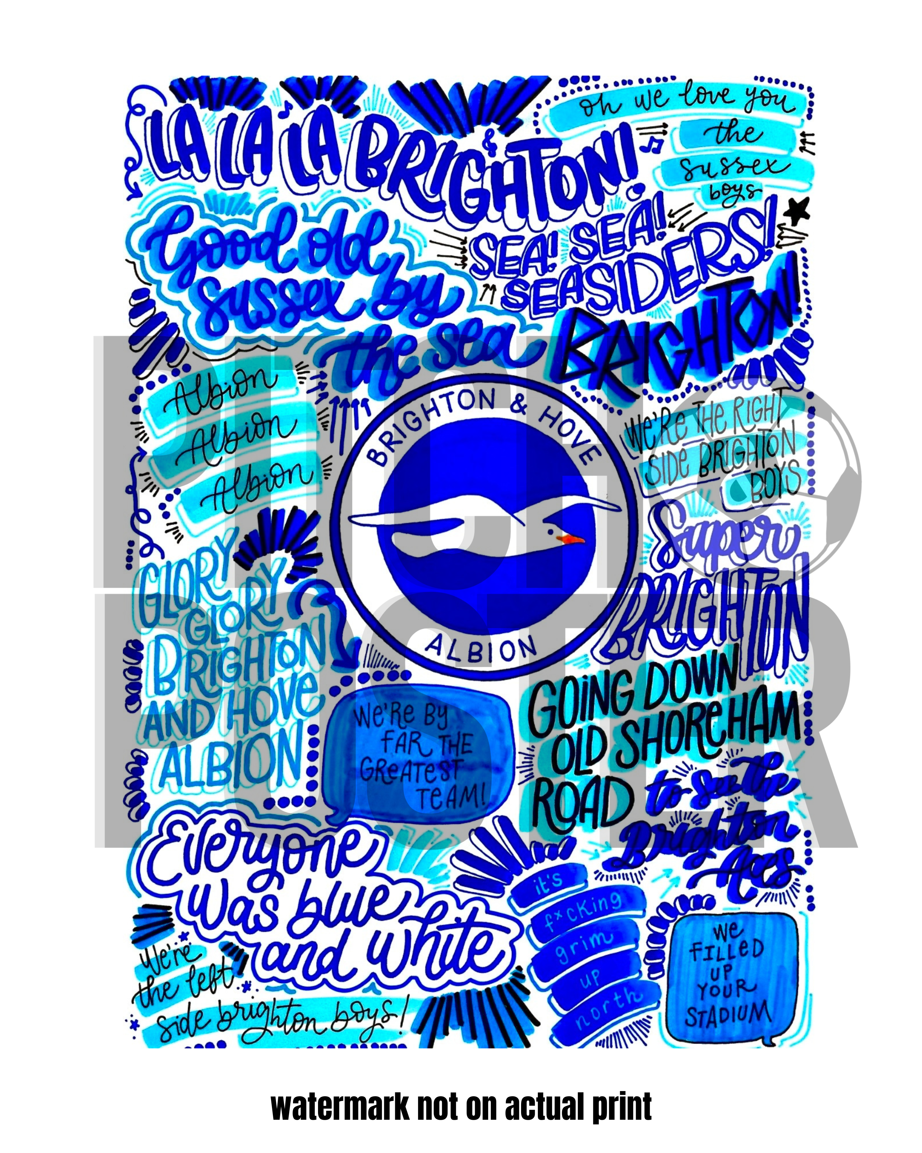 Brighton & Hove Albion  - Glossy Print - Originally Hand Drawn